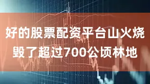 好的股票配资平台山火烧毁了超过700公顷林地