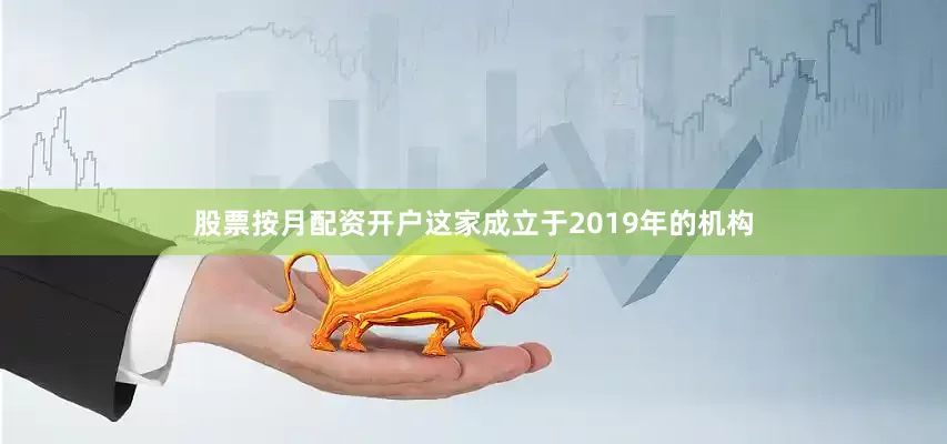 股票按月配资开户这家成立于2019年的机构