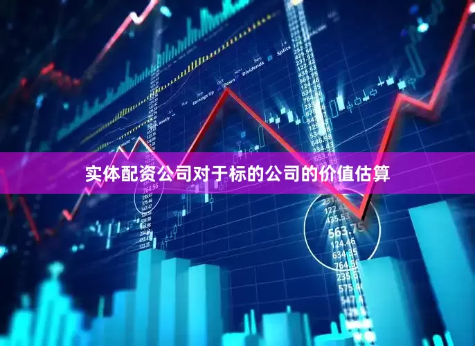实体配资公司对于标的公司的价值估算