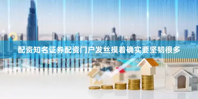 配资知名证券配资门户发丝摸着确实要坚韧很多