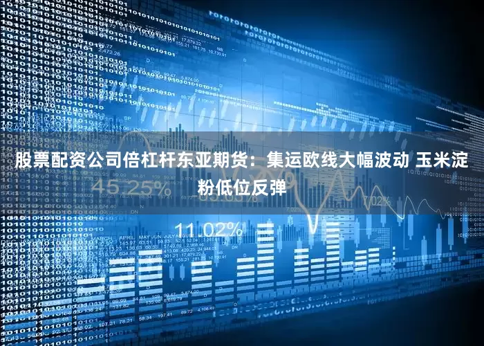 股票配资公司倍杠杆东亚期货：集运欧线大幅波动 玉米淀粉低位反弹